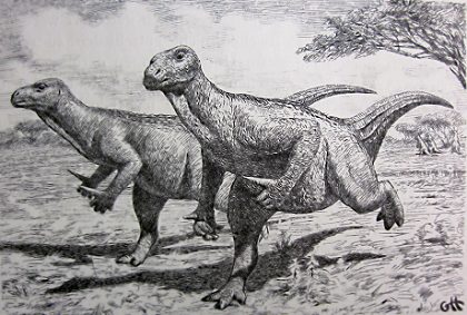 Iguanodons